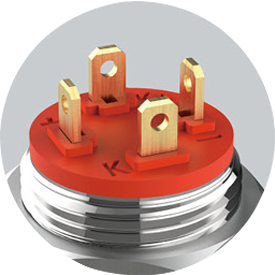 Zhejiang Wandu Electric Co., Ltd.